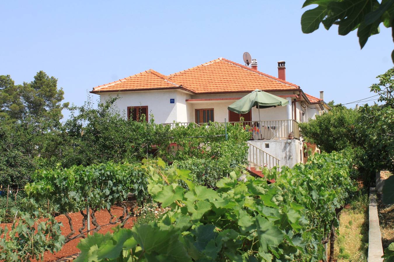 Appartamento intero, Appartamento di una stanza con terrazzo e vista mare Ugliano - Ugljan A-8257-b in Ugliano, Isola di Ugljan