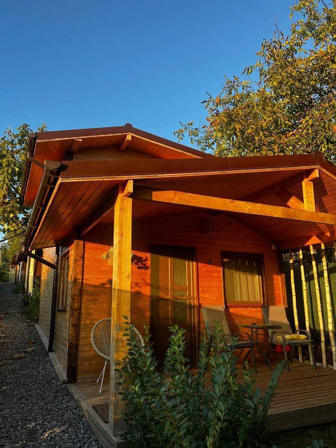 Gîte pour 4 personnes, avec jardin et terrasse dans Cluj-Napoca - 4