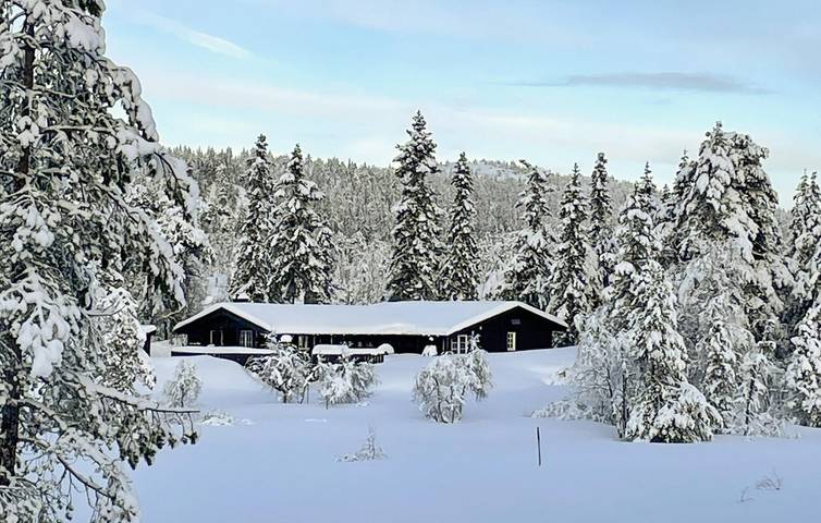 Ferienhaus für 8 Personen mit Sauna in Nissedal