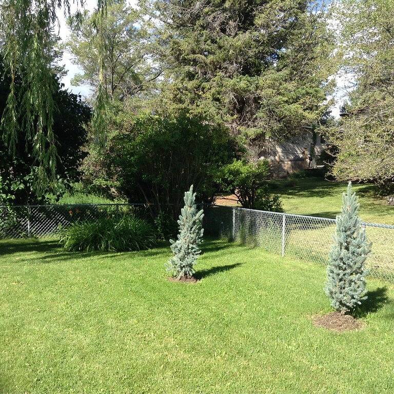 Ihr Authentisches Seehaus Erwartet Sie :) in Kootenay-Nationalpark