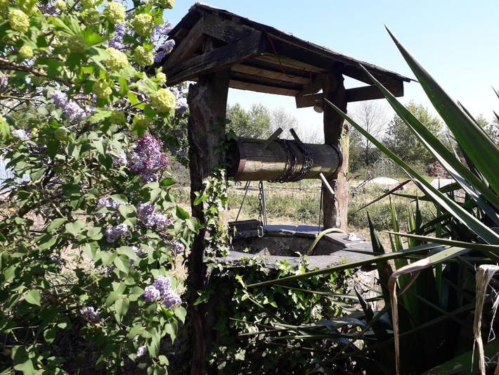 Chambre d’hôte pour 2 personnes, avec jardin ainsi que terrasse et piscine en Ille-et-Vilaine - 2
