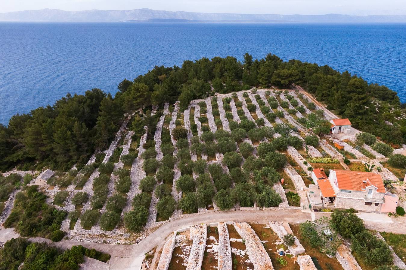 Fyrrumshus med terrass och utsikt över havet Vik Zanavje, Korcula K-19224 in Vela Luka, Korčula