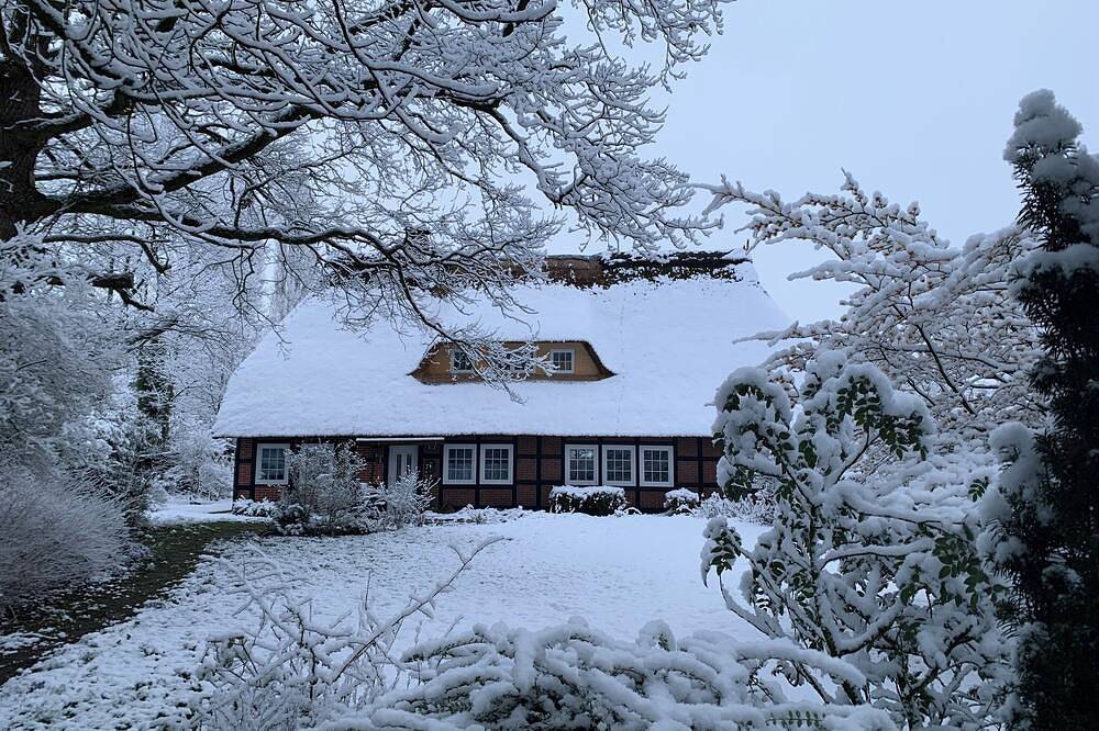 Ganze Wohnung, Fewo Hiddingen malerische Heide in Visselhövede, Landkreis Rotenburg (Wümme)