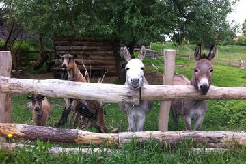 Ferienwohnung für 4 Personen, mit Pool und Sauna sowie Garten in Havelland