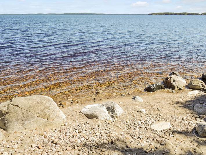 Pielislinna/loma-koli in Loma-Koli, Pielinen
