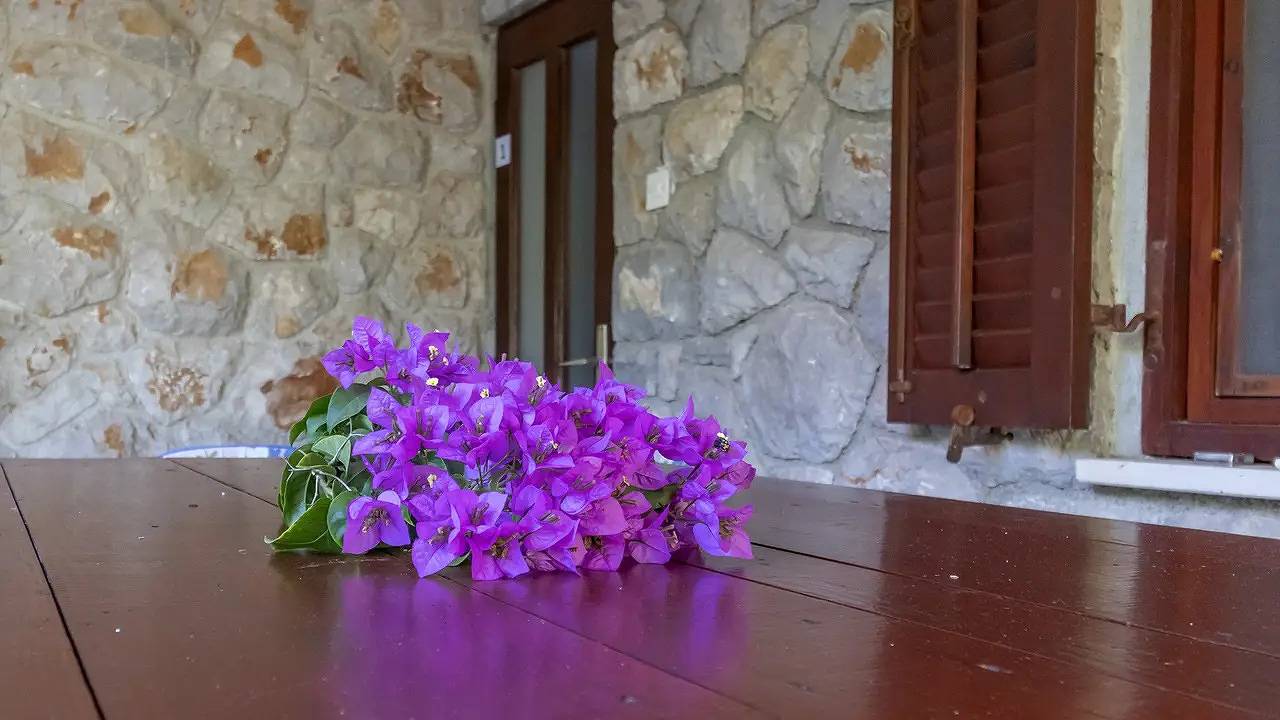 Appartamento vacanze a Lussino a partire da 180€ a notte