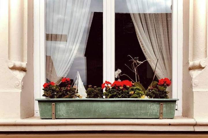 Ferienhaus für 2 Personen, mit Sauna, mit Haustier in Emden - 4