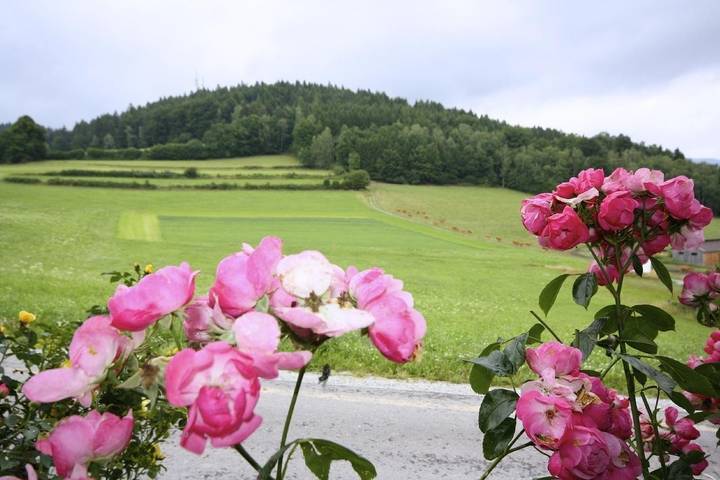 Ferienhaus für 4 Personen, mit Balkon und Garten im Bayerischer Wald - 4