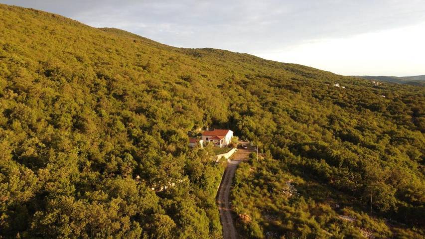 Villa für 4 Personen, mit Ausblick und Garten, mit Haustier - 1
