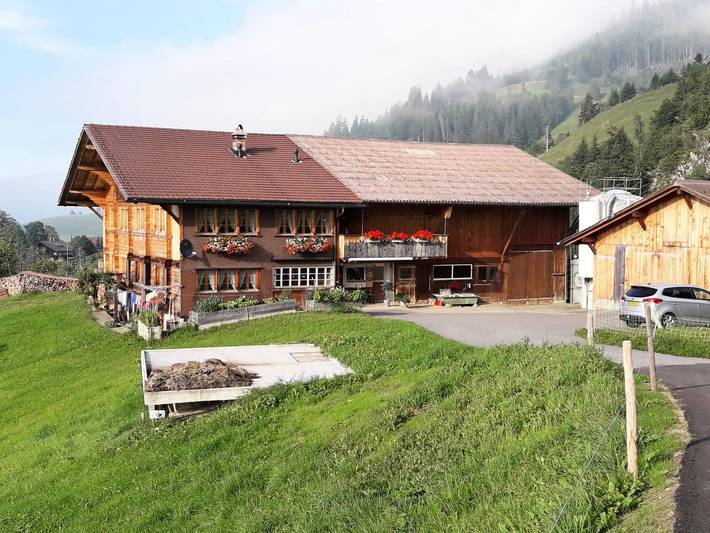 Ganze Wohnung, 5 Pièces 11 Personnes in Frutigen, Frutigen - Lenk - Adelboden