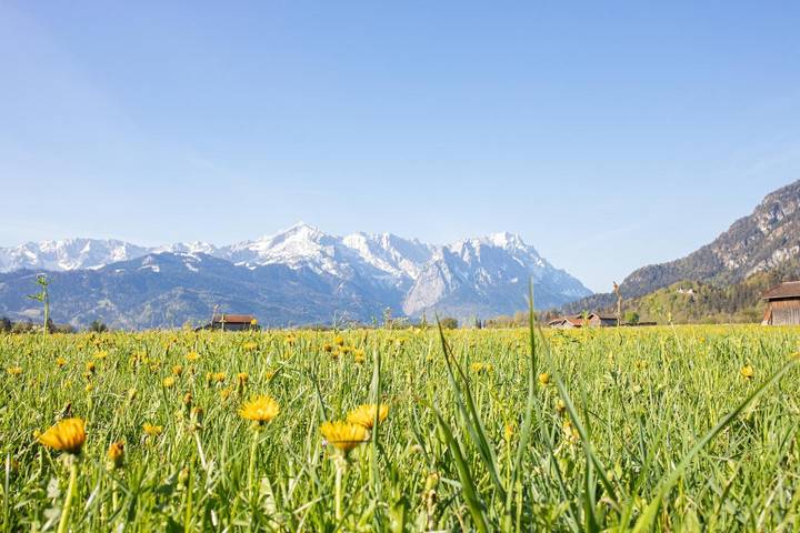 Ganze Wohnung, Ferienwohnung Ausblick in Farchant in Farchant, Bayerische Alpen