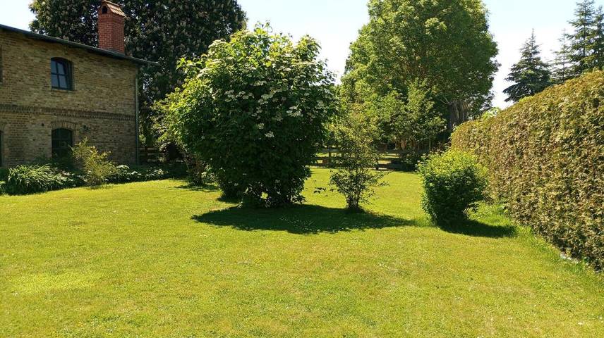 Ferienwohnung für 5 Personen, mit Terrasse und Garten sowie Ausblick in Bugewitz - 3
