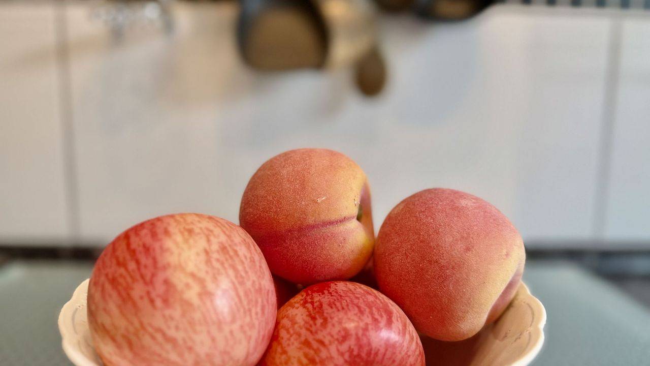 Ferienhaus für 4 Personen (75 m²) in Wangerland in Hooksiel, Wangerland