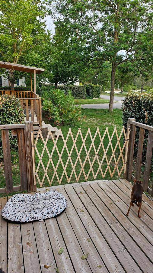 Camping pour 6 personnes, avec jardin ainsi que piscine et vue sur le lac à La Roque-d'Anthéron - 3