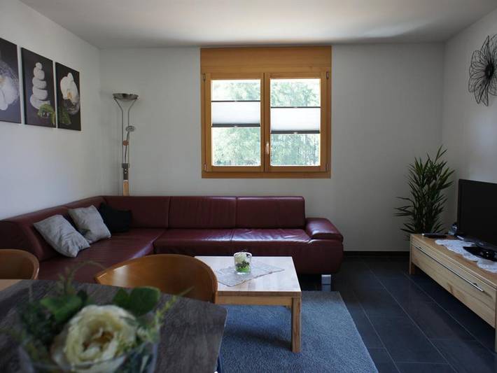 Ganze Ferienwohnung, Haus Arena "Alpenrose" - Alpenrose in Fürgangen, Bellwald