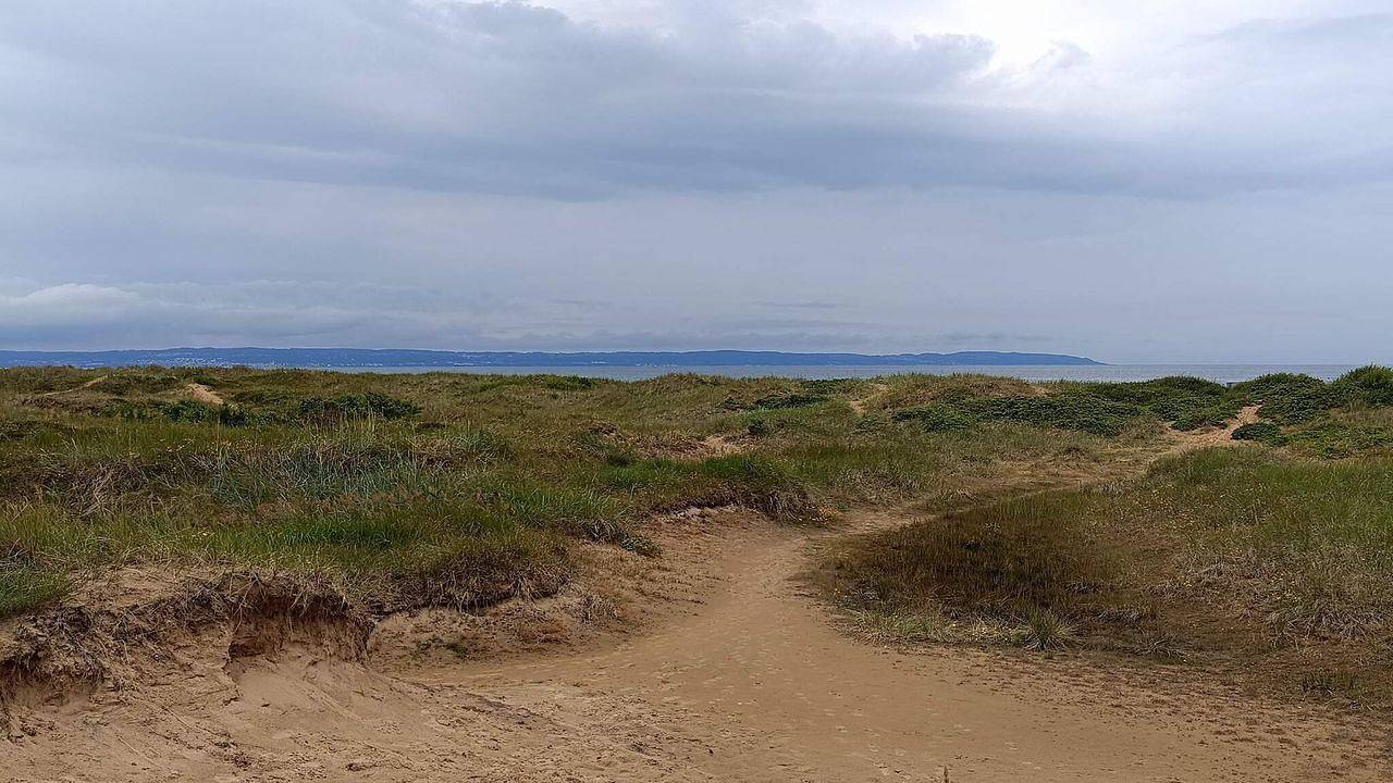 Ferienhaus für 4 Personen (40 m²) in Mellbystrand in Mellbystrand, Halland