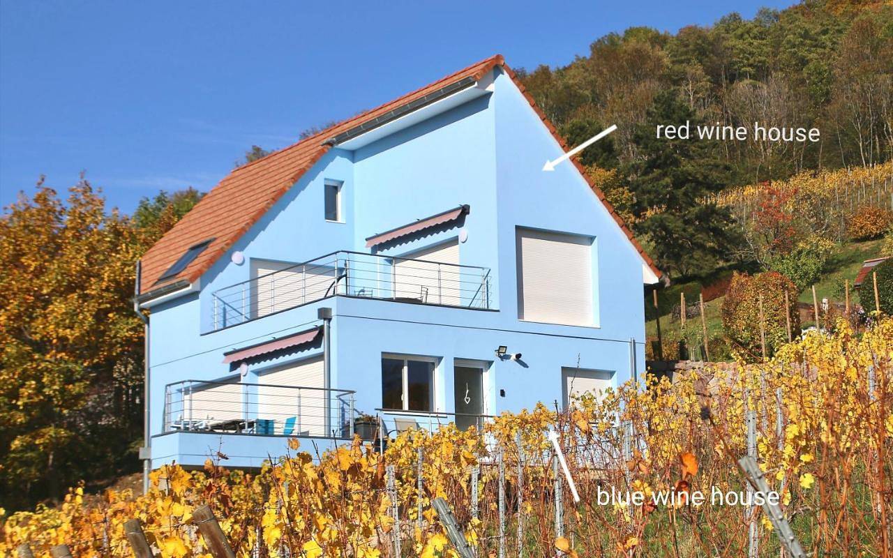 Appartement entier, Janéa Big Blue House in Reichsfeld, Région de Sélestat-Erstein