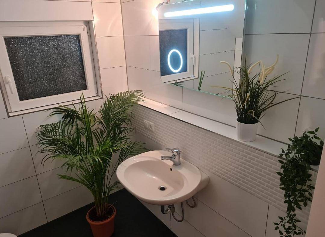 Ganze Wohnung, Business Apartment Loft nähe Bonn 3 Sz in Königswinter, Siebengebirge