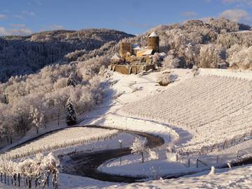 Ferienwohnung für 4 Personen in Deutschlandsberg, West- und Südsteiermark, Bild 4