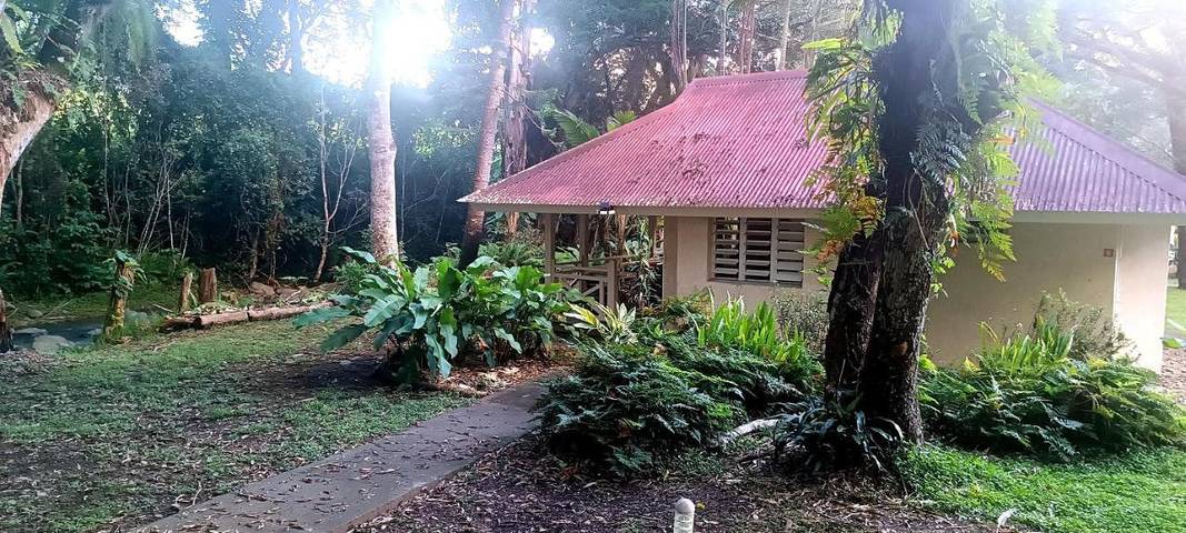 Gîte pour 3 personnes, avec vue et terrasse, animaux acceptés En Nouvelle-Calédonie - 2