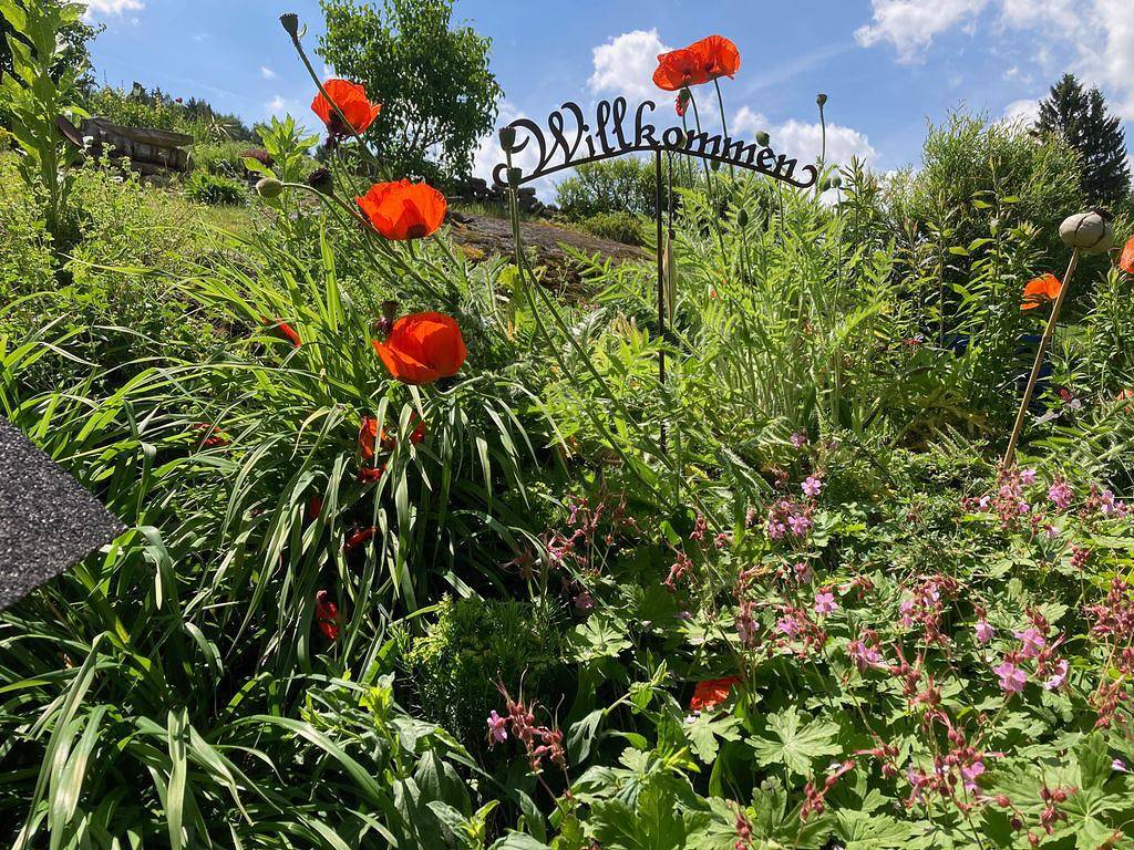 Entire holiday apartment, Gästehaus Huber - Einzelzimmer in Bezirk Zwettl