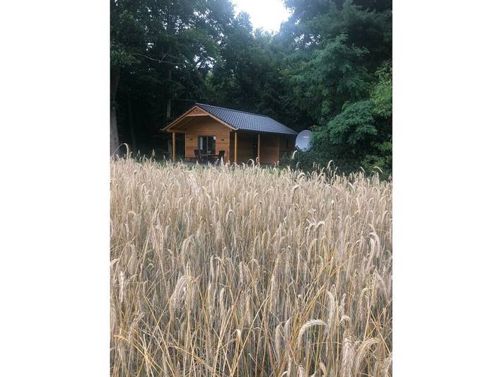 Ferienhaus Am Stüher Wald in Dötlingen, Naturpark Wildeshauser Geest