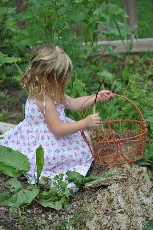 Farmhouse on Little Peak Creek Farm! in Blue Ridge Parkway, Ashe County