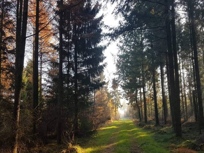 Bauernhof für 4 Personen, mit Terrasse und Garten, kinderfreundlich in Dänemark - 2