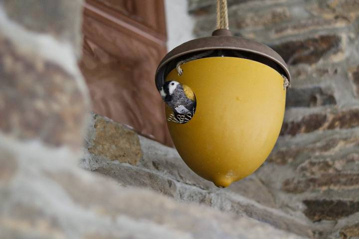 Chambre d’hôte pour 2 personnes, avec jacuzzi et jardin en Normandie - 4