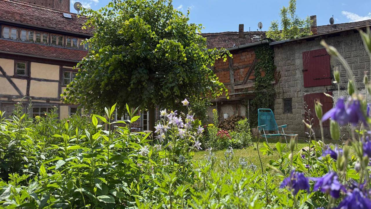 Ferienhaus St. Johannis in Werben (Elbe), Westhavelland