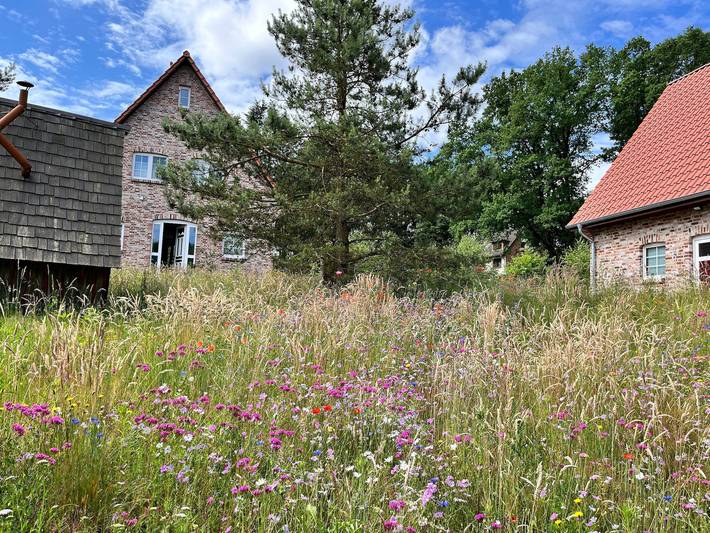 Ferienhaus für 4 Personen, mit Terrasse und Garten sowie Sauna in Bispingen - 2