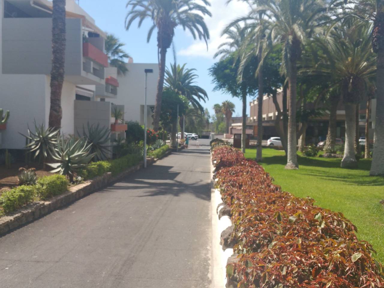 Appartement entier, "Primavera in Costa del Silencio, Arona