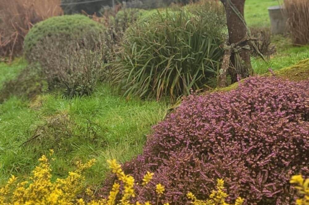Gîte Ty unnek au cœur des Monts d'Arrée proche Huelgoat. in Plouyé, Région de Châteaulin