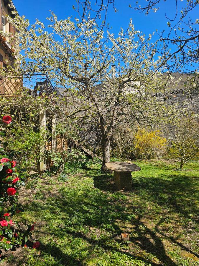 Gîte pour 4 personnes, avec jardin ainsi que piscine et vue à Saint-Léger-de-Peyre - 4