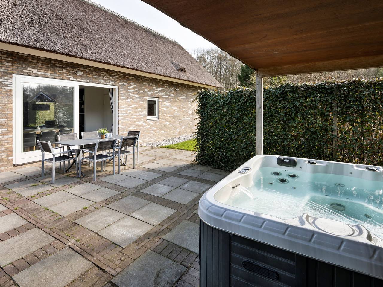 Villa met hottub en jacuzzi in Ruinen, Nationaal Park Dwingelderveld