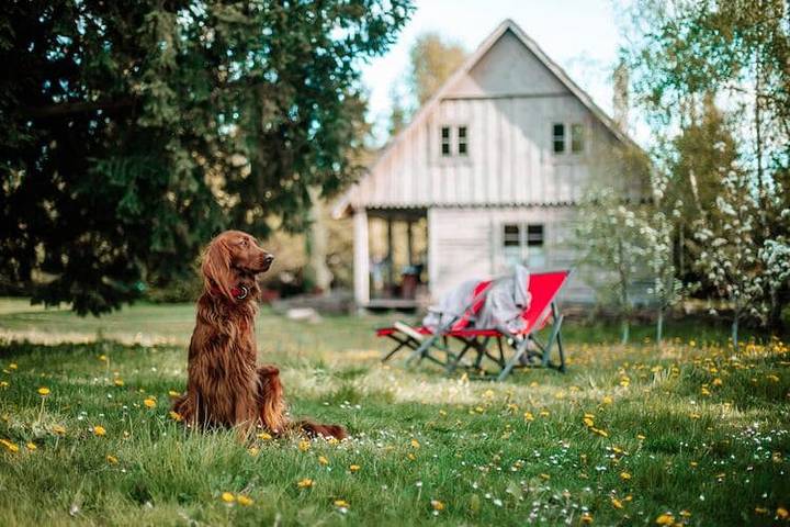 Ferienhaus für 9 Personen, mit Garten und Pool, kinderfreundlich in Polen - 2