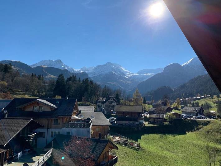 Gîte pour 3 personnes, avec jardin ainsi que balcon et vue dans Lauenen Bei Gstaad - 3