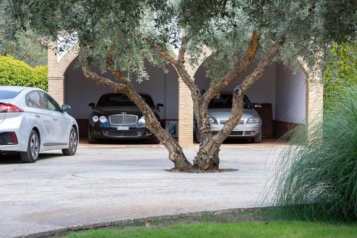 Casa rural para 8 personas, con vistas además de piscina y jardín, Se admiten mascotas en Arriate - 3