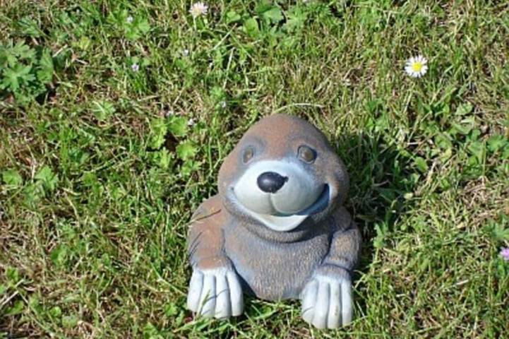 Ferienwohnung für 2 Personen, mit Garten in Samtens - 4