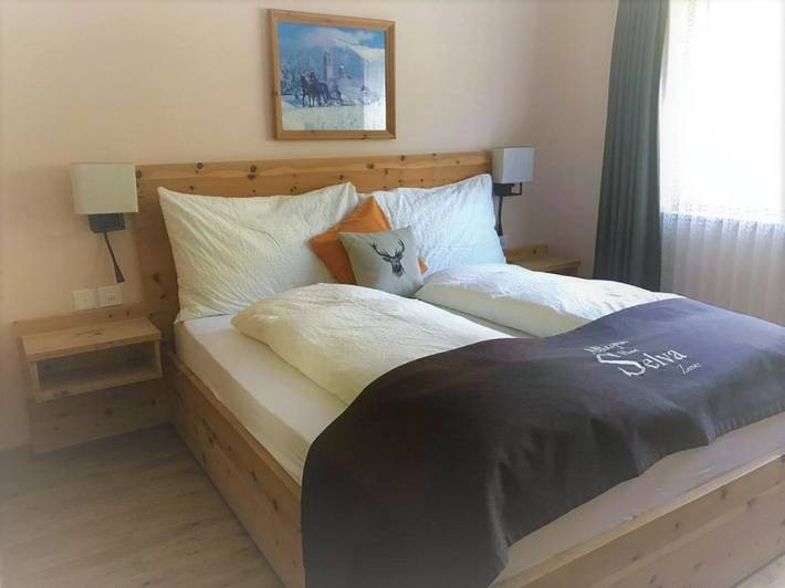 Hôtel pour 2 personnes, avec vue et jardin, animaux acceptés à Zernez - 3