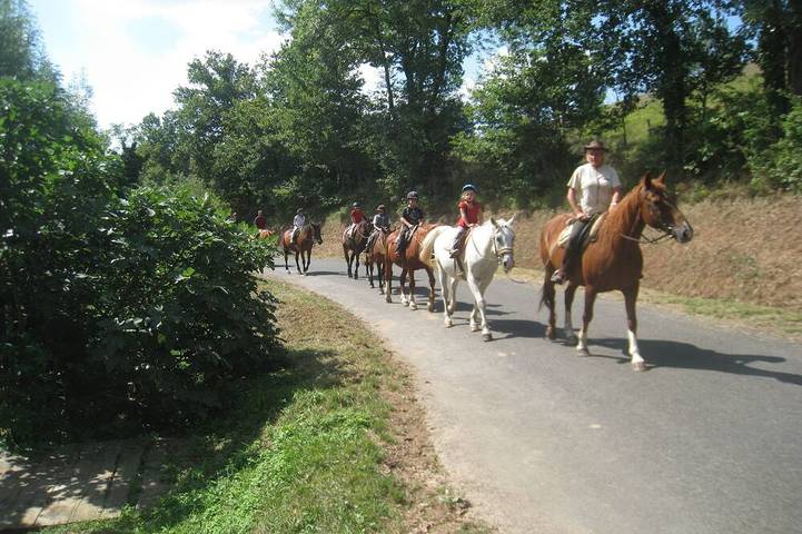 Chalet pour 4 personnes, avec jardin dans le Tarn - 2