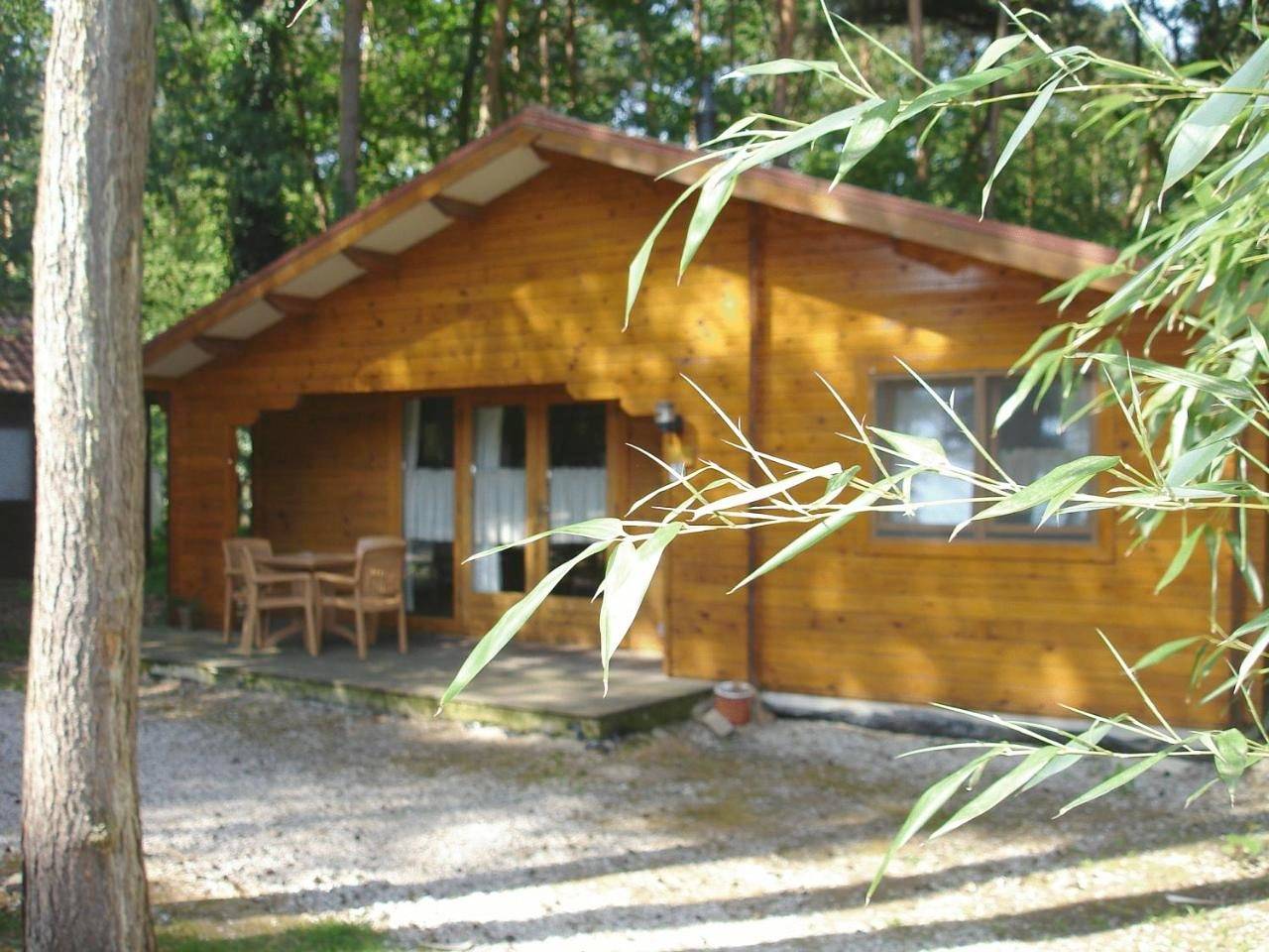Bospark De Brenkberg in Schinveld, Parkstad Limburg