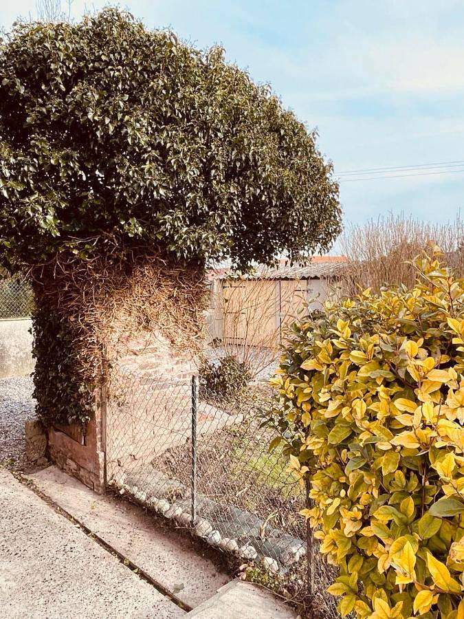 Location de vacances pour 6 personnes, avec jardin à Woignarue - 2