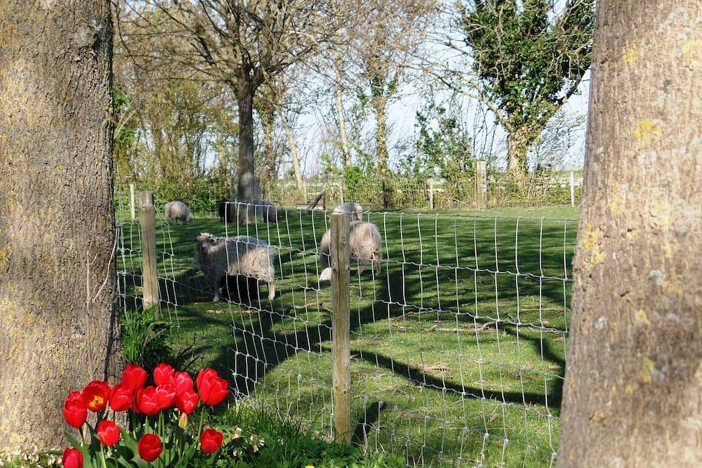 Camping Hofstede Zonnevliet - Zeeuwse Knoop in Zonnemaire, Zeeuwse Kust