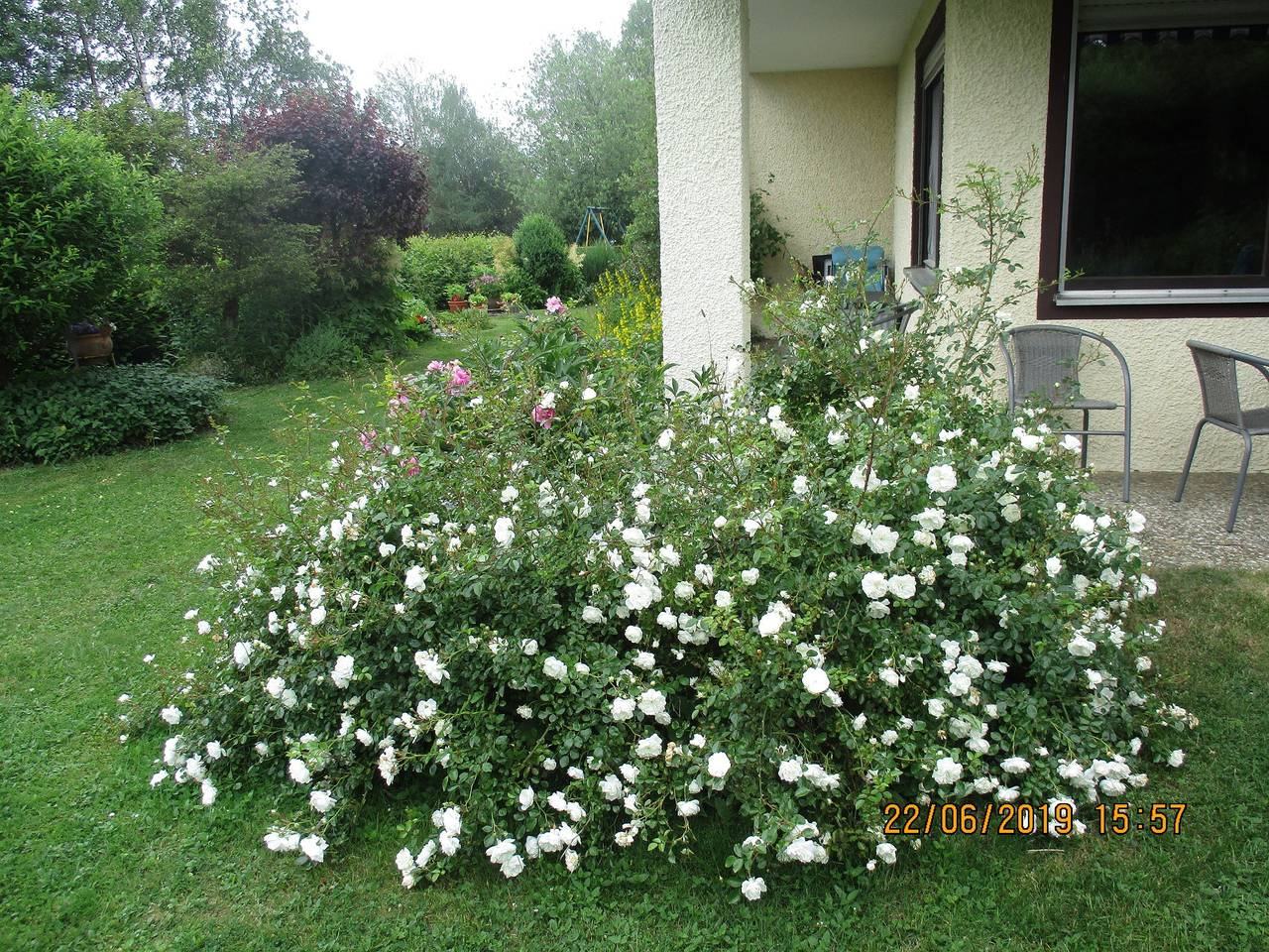 Troglauer - Ferienwohnung Troglauer (53qm) mit Terrasse und Küchenzeile in Theisseil, Naturpark Nördlicher Oberpfälzer Wald