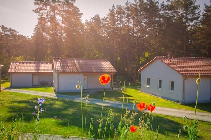 Ferienhaus für 6 Personen, mit Terrasse und Sauna in Region Oder - Spree - 3