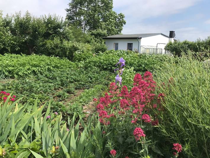 Ferienhaus mit Meerblick für 3 Personen, mit Seeblick und Garten sowie Terrasse, kinderfreundlich in Deutschland - 3
