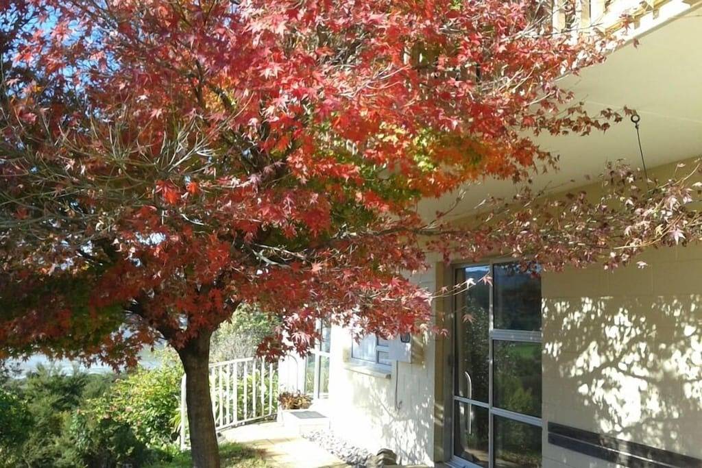 Ganze Wohnung, Atemberaubende Aussicht auf den Hafen, in ruhiger Lage in Coromandel, Waikato