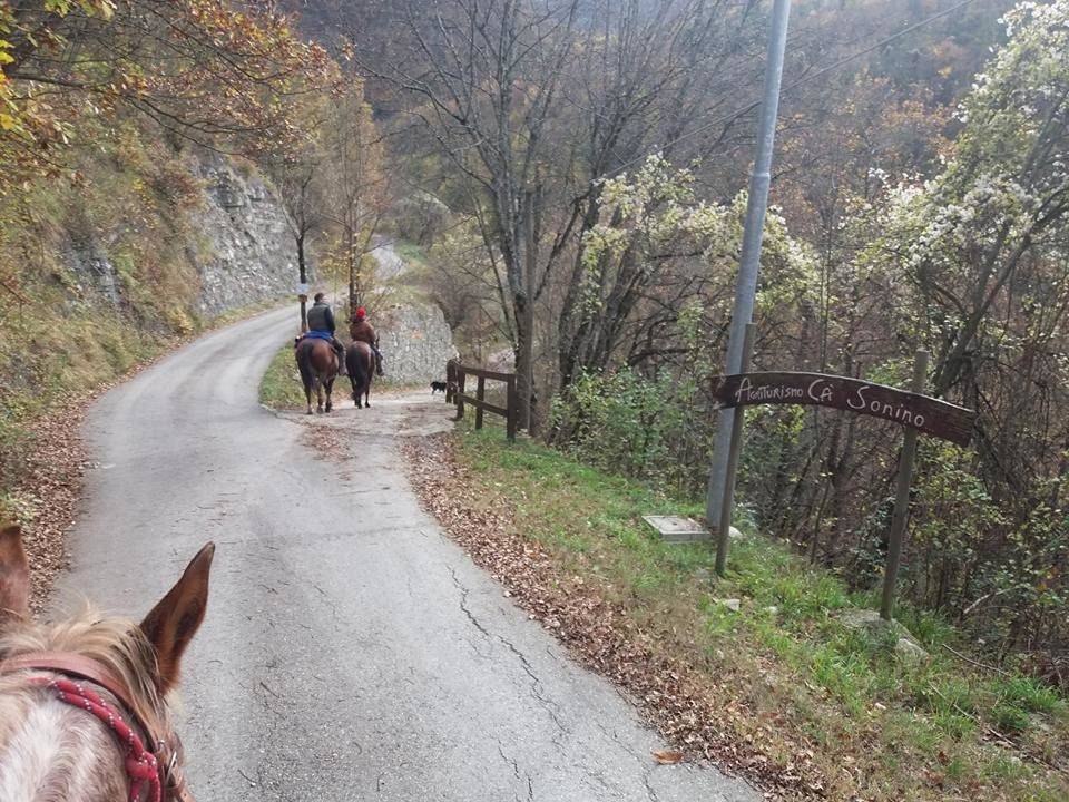 Double or Twin Room with Mountain View in Bettola, Apennin Parmensan