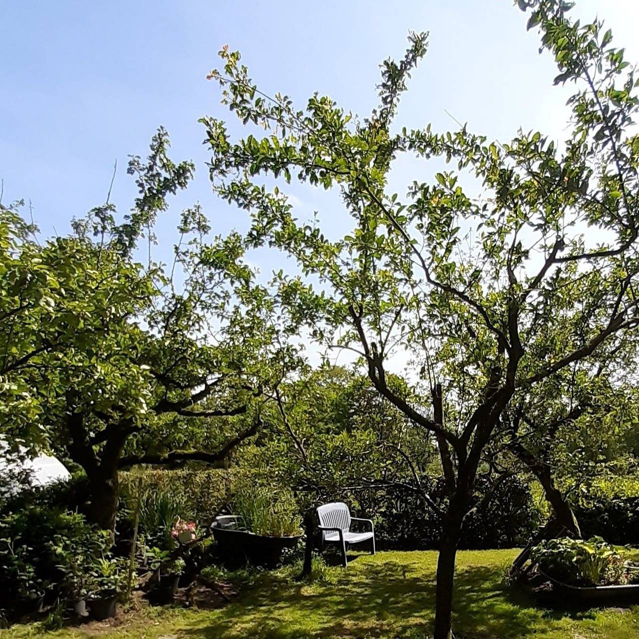 Ganze Ferienwohnung, Landperle in Schortens, Nordseeküste